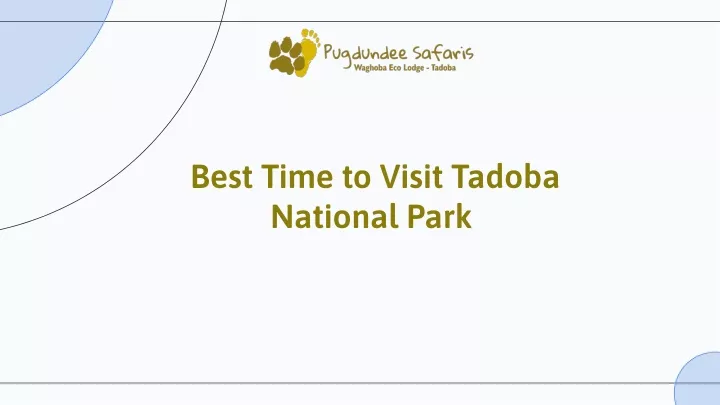 best time to visit tadoba national park