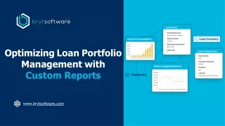 optimizing loan portfolio management with custom reports