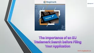 The Importance of an EU Trademark Search before Filing Your Application