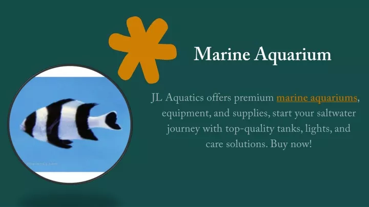 marine aquarium