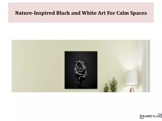 Nature-Inspired Black and White Art For Calm Spaces