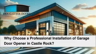 Avoid DIY Mistakes: Choose Professional Garage Door Opener Installation in Castl