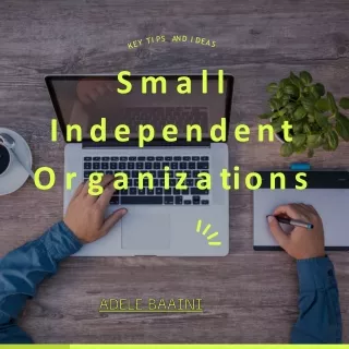 Small Independent Organizations
