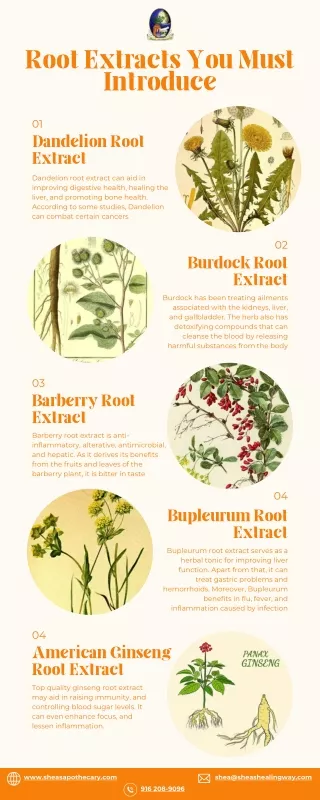 Top 5 Root Extracts The Key to Natural Wellness