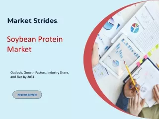 Soybean Protein Market
