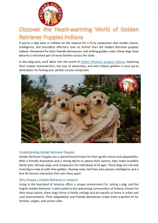 Discover the Heart-warming World of Golden Retriever Puppies Indiana