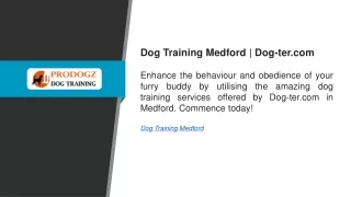 Dog Training Medford Dog-ter.com