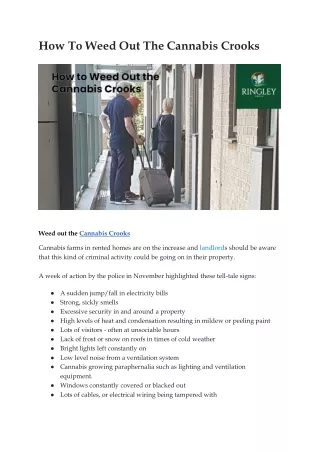 how to weed out the cannabis crooks