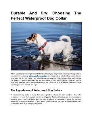 Durable And Dry: Choosing The Perfect Waterproof Dog Collar