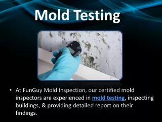 Mold Testing