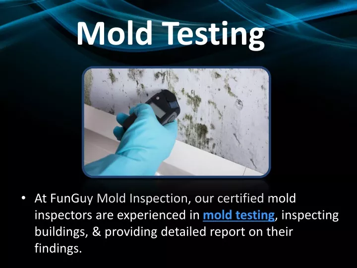 mold testing