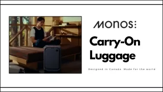 carry on luggage