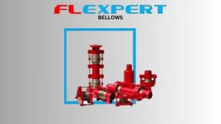 Metallic Expansion Bellows