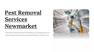 Best Pest Control Solutions in Newmarket: Comprehensive Pest Management