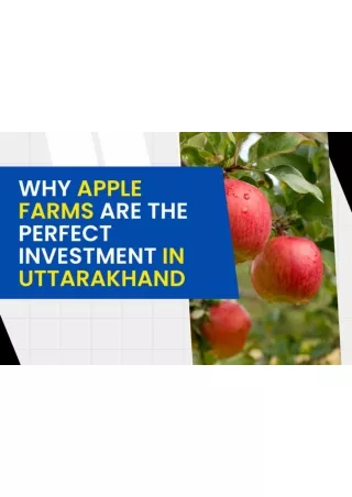 Nurture Your Investment: The Rise of Apple Farming in Uttarakhand!