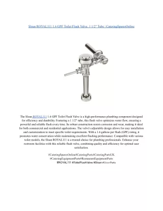 Sloan ROYAL111 1.6 GPF Toilet Flush Valve, 1 1_2_ Tube _ CateringSparesOnline