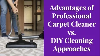 Professional Couch Cleaner vs DIY Cleaning