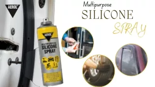 Aerol Silicone Spray