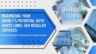 Maximizing Growth with SEO Reseller Services by Autus Digital Agency