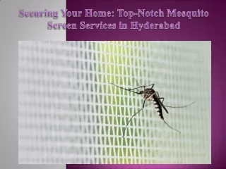 Securing Your Home Top-Notch Mosquito Screen Services in Hyderabad