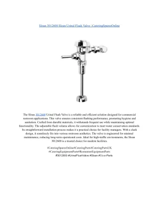 Sloan 3012600 Sloan Urinal Flush Valve _ CateringSparesOnline