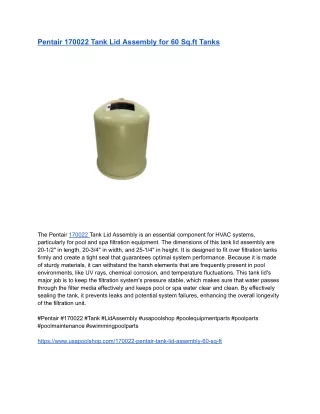 Pentair 170022 Tank Lid Assembly for 60 Sq