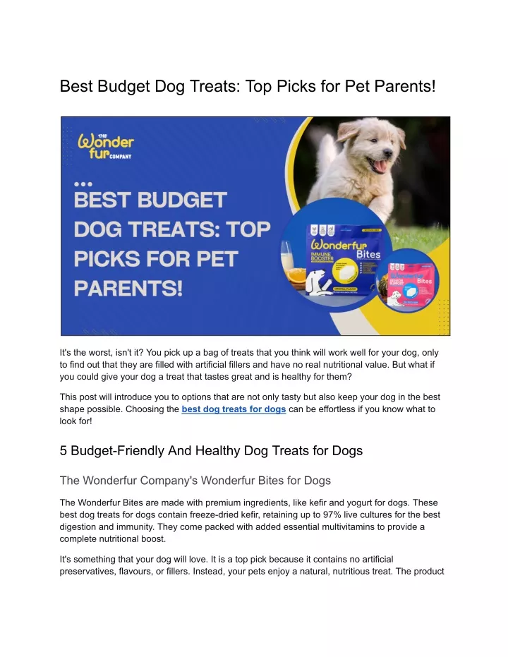 best budget dog treats top picks for pet parents