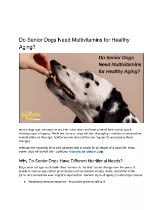 Do Senior Dogs Need Multivitamins for Healthy Aging?