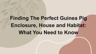 Finding The Perfect Guinea Pig Enclosure, House and Habitat_ What You Need to Know