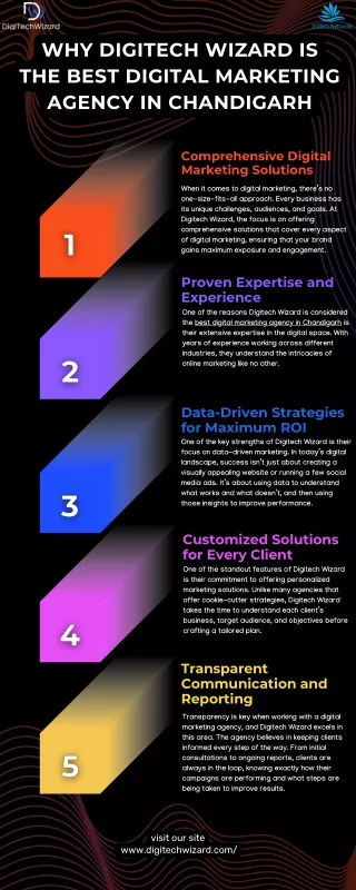 Why Digitech Wizard is the Best digital Marketing Agency in Chandigarh