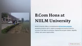 b com hons at niilm university