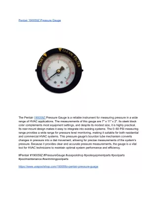 Pentair 190059Z Pressure Gauge