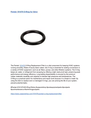 Pentair 191479 O-Ring for Valve