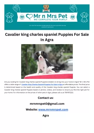 Cavalier king charles spaniel Puppies For Sale In Agra