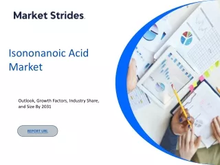 Isononanoic Acid Market
