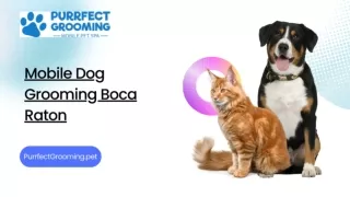 Mobile Dog Grooming Boca Raton: Why Purrfect Grooming is the Best Choice