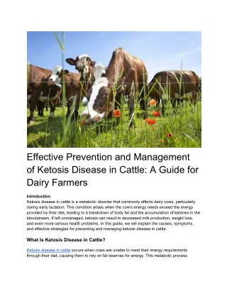 Effective Prevention and Management of Ketosis Disease in Cattle_ A Guide for Dairy Farmers