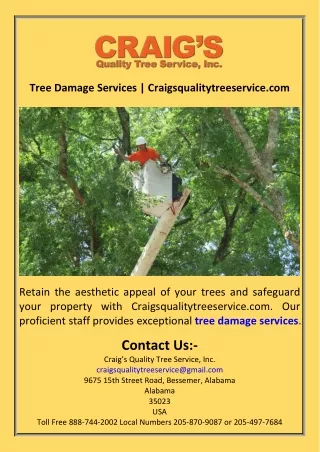 Tree Damage Services  Craigsqualitytreeservice.com