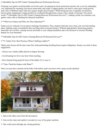 “Affordable Tips for DIY Gutter Cleaning Between Professional Services”