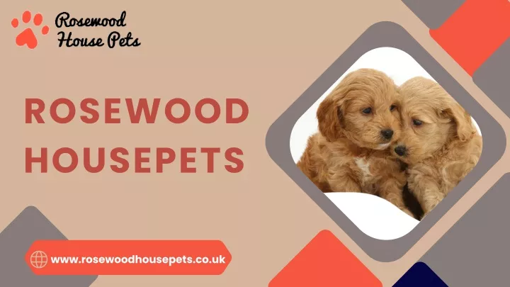 rosewood housepets