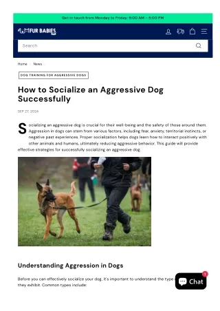 Dog Training For Aggressive Dogs