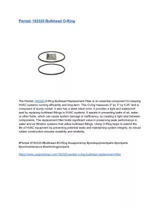 Pentair 192320 Bulkhead O-Ring