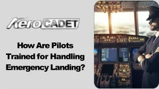 How Are Pilots Trained for Handling Emergency Landing?