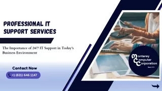 professional it support services