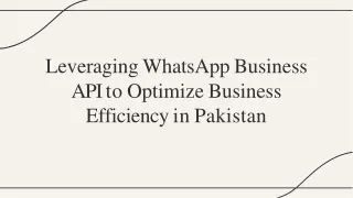 Leveraging WhatsApp Business API to Optimize Business Efficiency in Pakistan