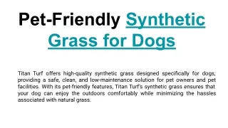 Pet-Friendly Synthetic Grass for Dogs