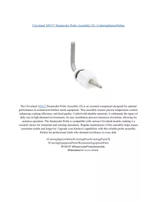 Cleveland 109157 Steamcube Probe Assembly (X) _ CateringSparesOnline
