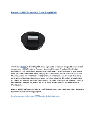 Pentair 195829 Essential 2 Drain Plug NPSM