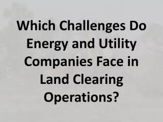 Which Challenges Do Energy and Utility Companies Face in Land Clearing Operation