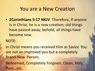 A NEW CREATION boyvee